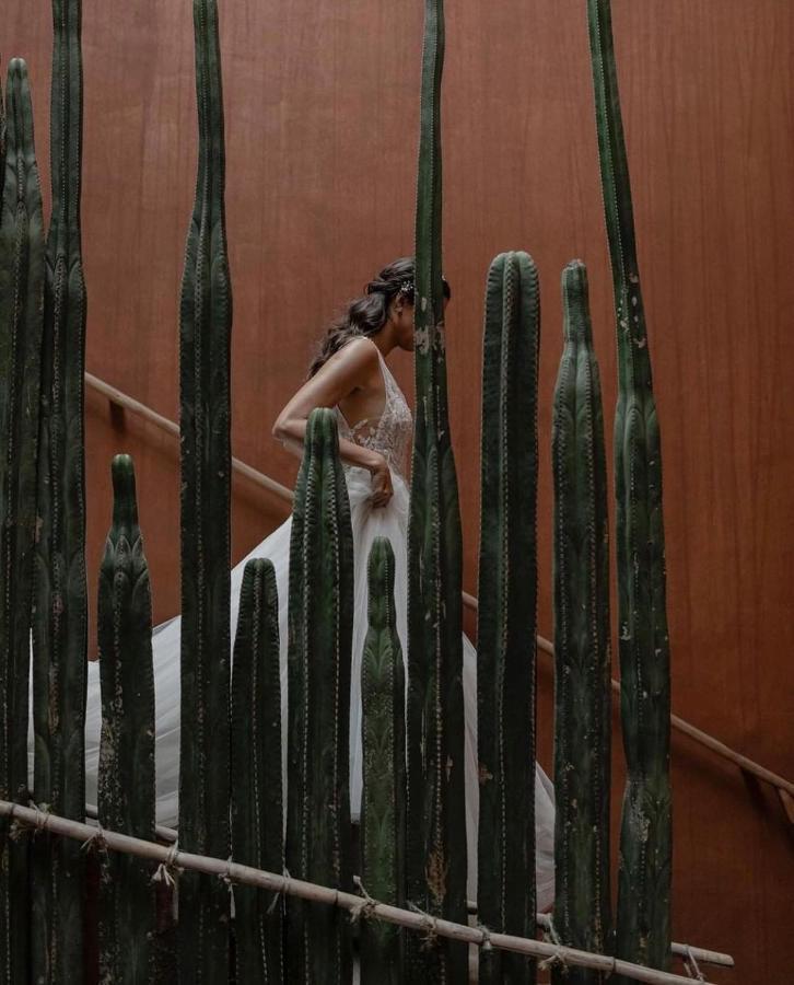 Hotel Casa Carmen Reforma Oaxaca Exterior foto