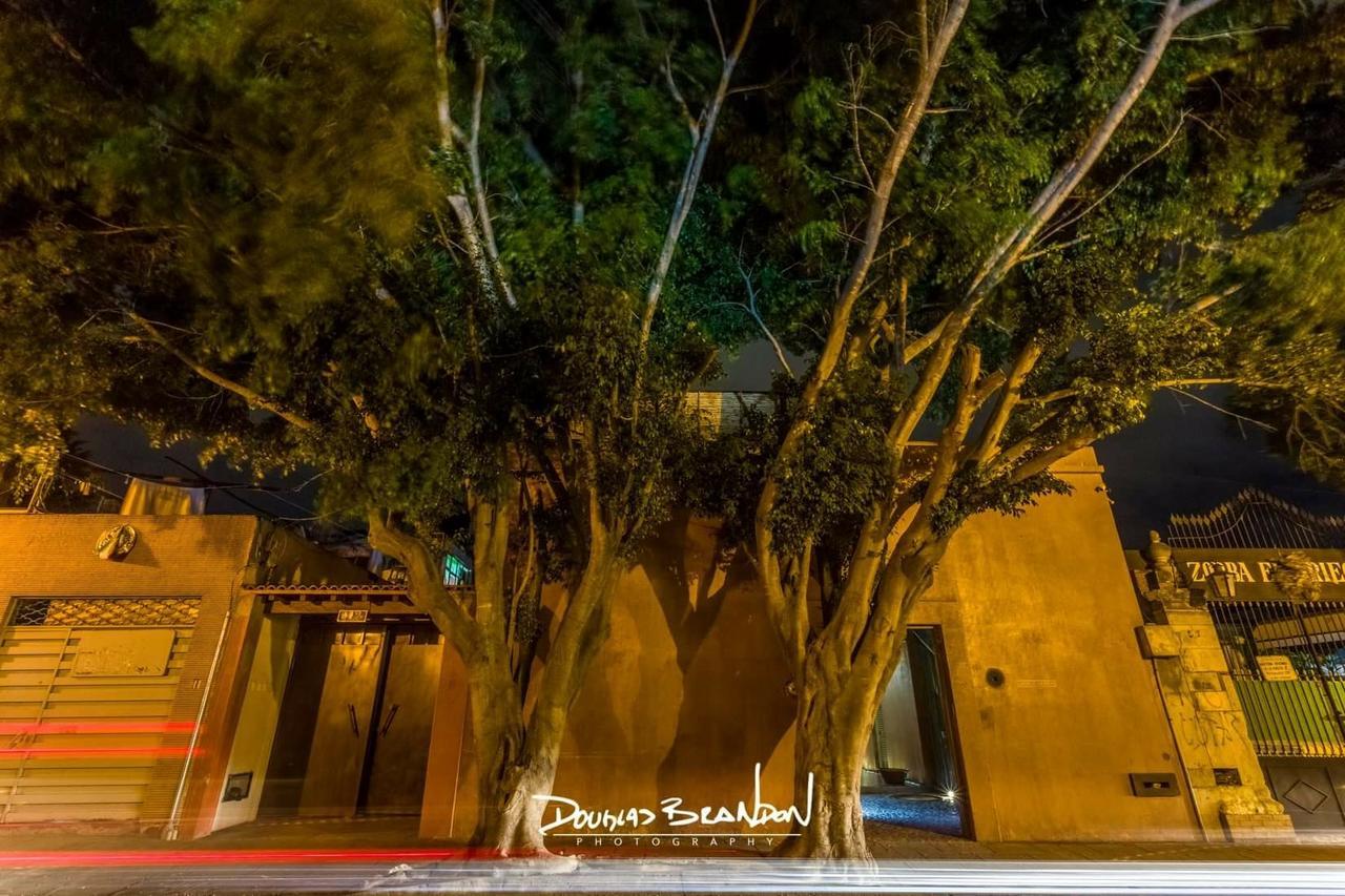 Hotel Casa Carmen Reforma Oaxaca Exterior foto